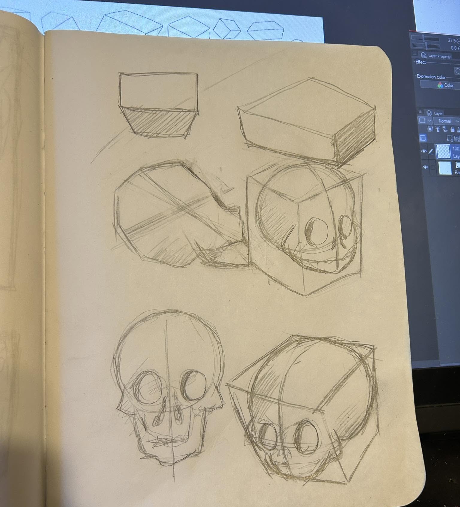 skulls
