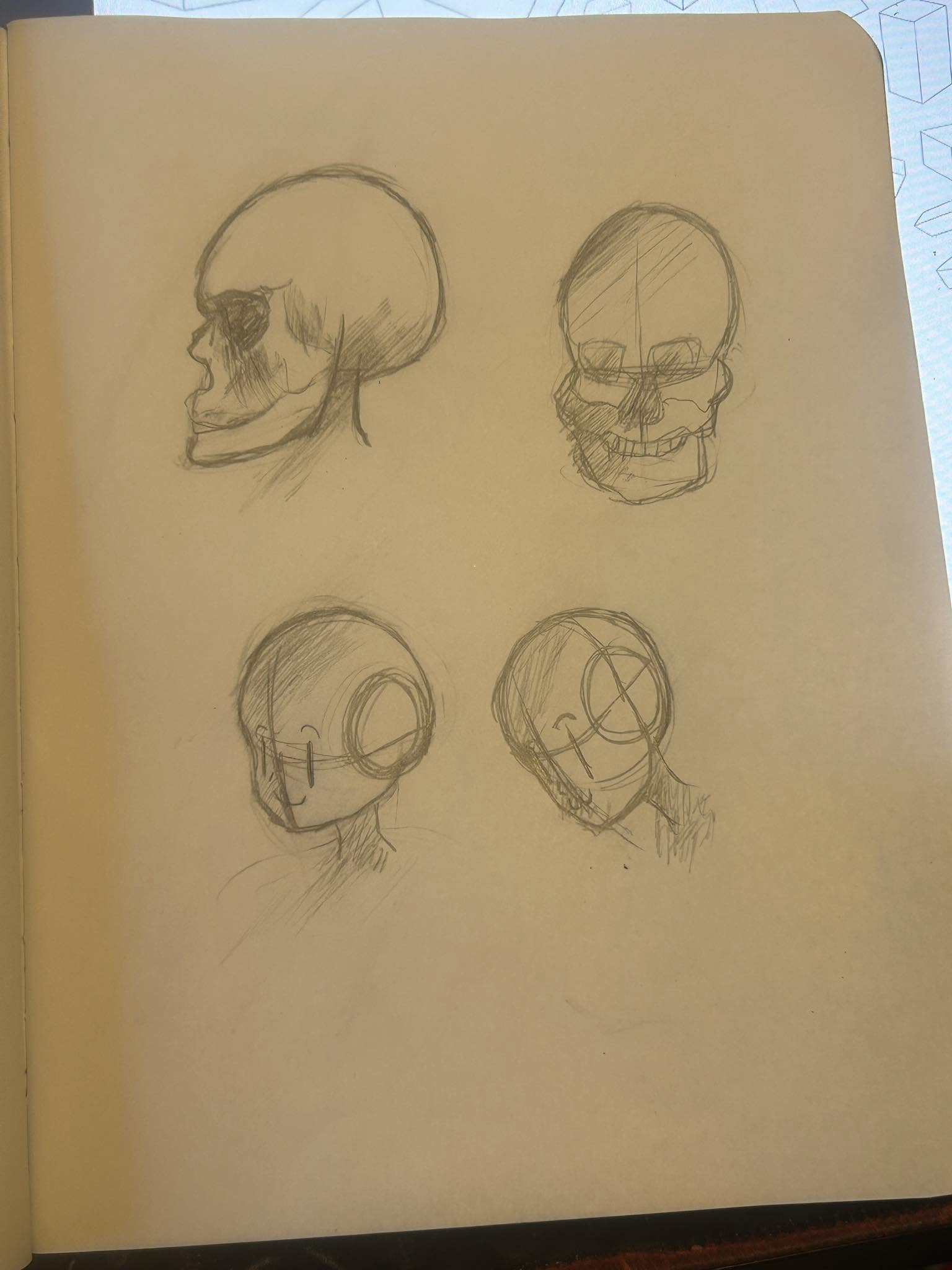 skulls